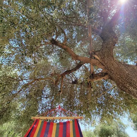 Camping אתר קמפינג *