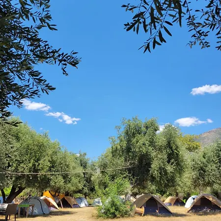 Camping Campsite