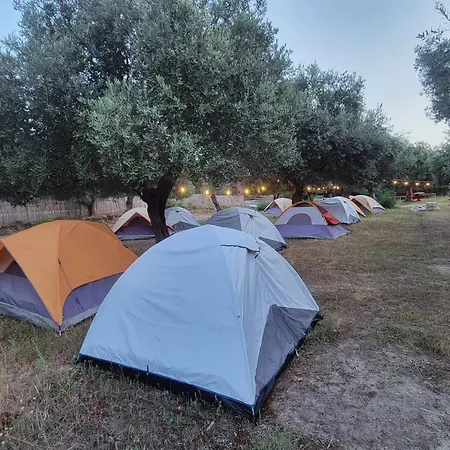 אתר קמפינג Camping בורש