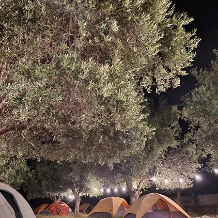 Camping * Borsh
