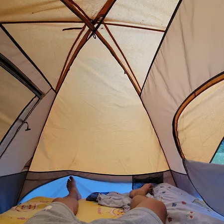 Camping * Borsh